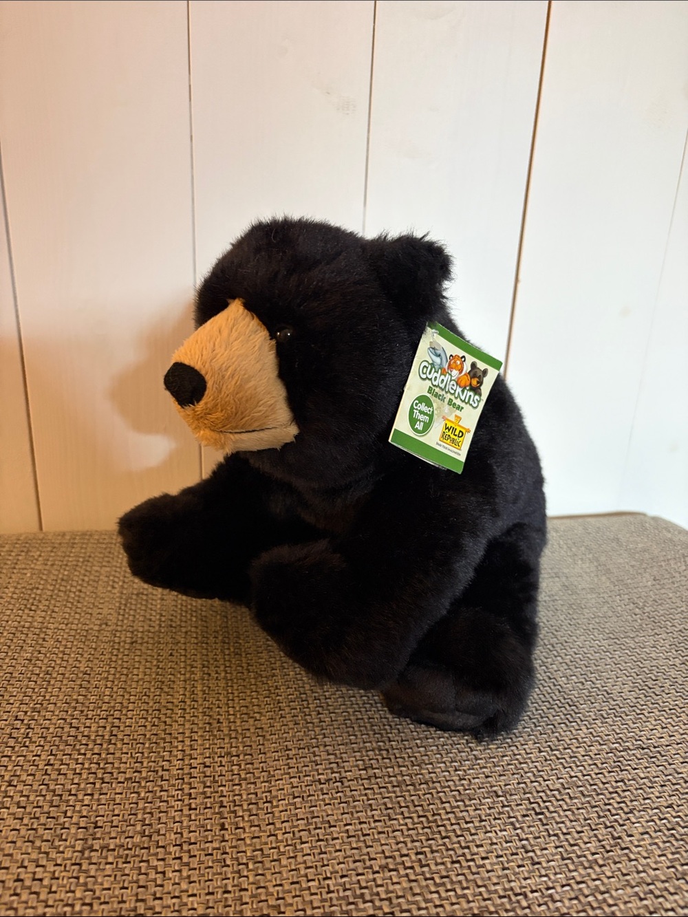 Cuddlekins Black Bear🐻💕